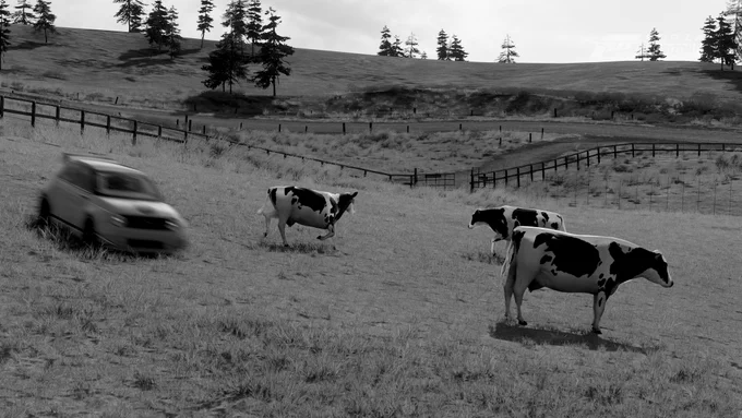 Honda e in Forza Horizon 6 driving by some cows 