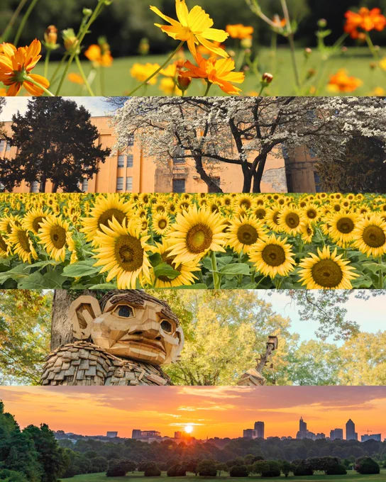 Five stacked images with various shades of green.  First image is of yellow flowers. Second images is of a yellow building with a white flowering tree in front of it. Third image is a sunflower field. Fourth image is a wooden troll sculpture. Fifth image is of an orange sunset skyline.