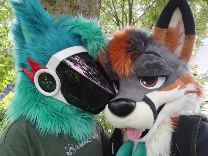 Protogen and grey fox