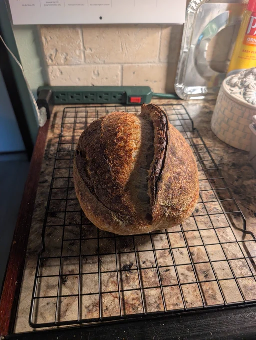 Sourdough hot out of the oven