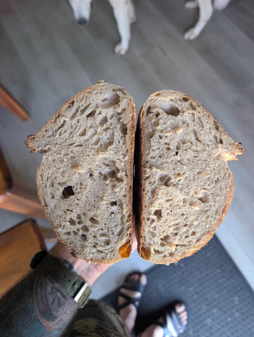 Evenly disturbed crumb