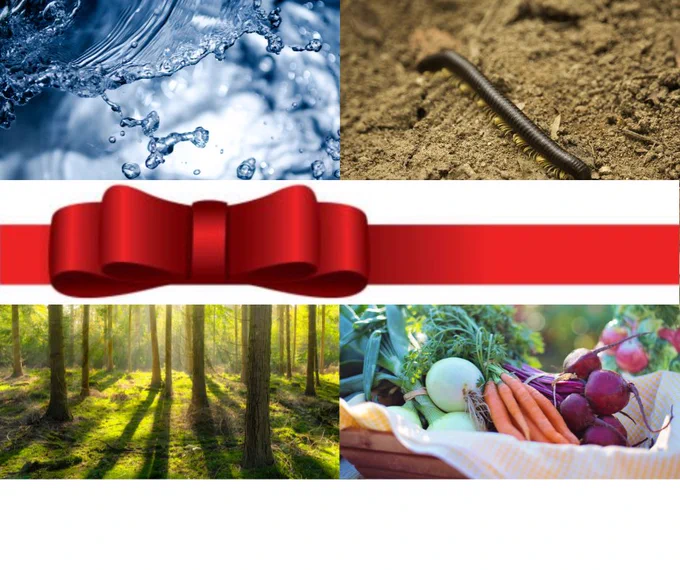 Four photos - upper left water splashing, upper right a nematode on soil, lower left a forest, lower right a basket filled with fresh vegetables. In the middle of the image is a red gift ribbon.