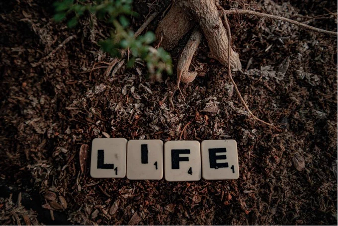 Scrabble tiles spelling LIFE on top of soil with a small tree root
