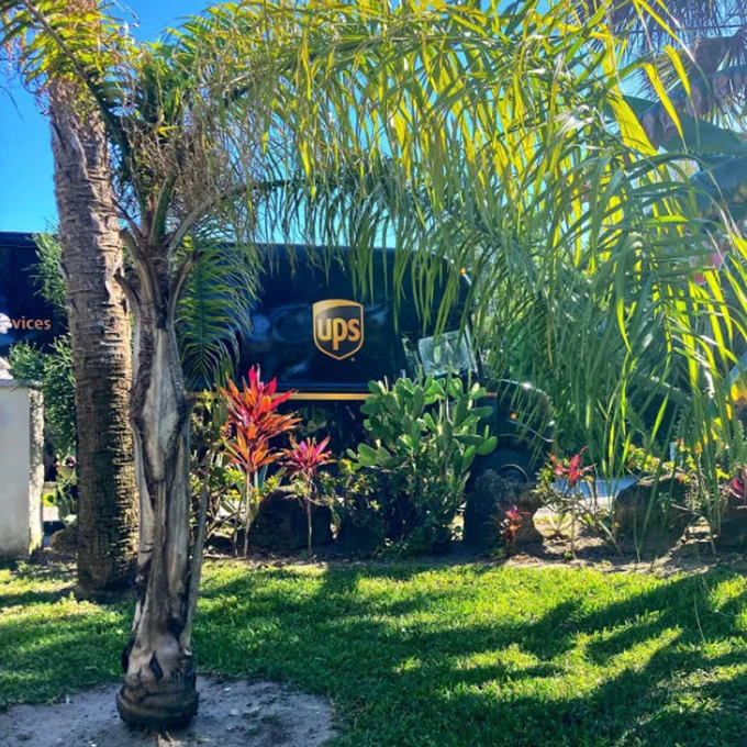 UPS truck behind tropical plants with palm leaves and red-tinted foliage.