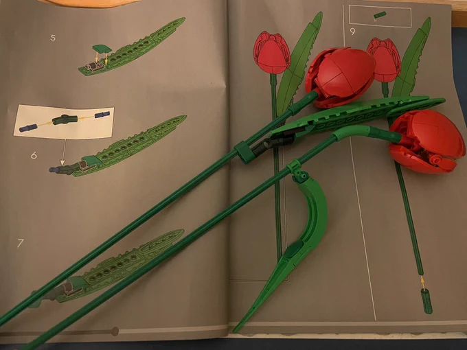 Two red tulips - first ones finished