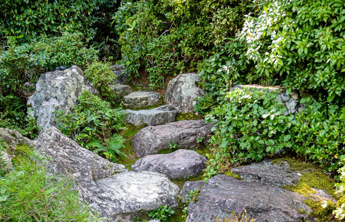 Picture of stepping stones from Henry Perks at Unsplash. The image has been cropped and resized.