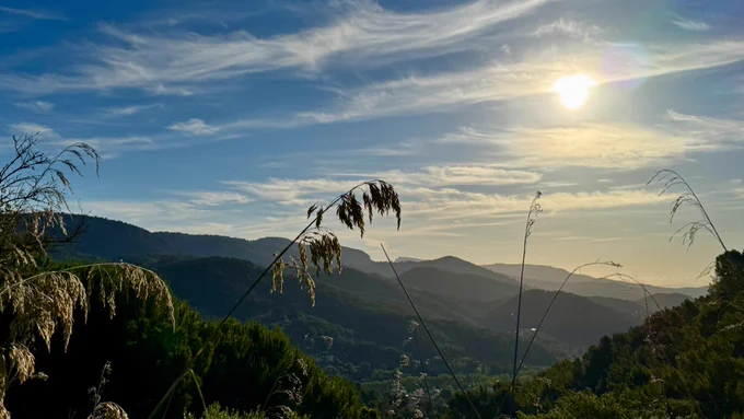 Joan perelló, Esporles 