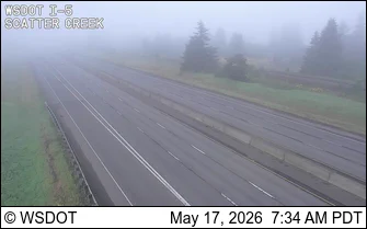 Dense fog observed on the WSDOT camera along I-5 and Scatter Creek.
