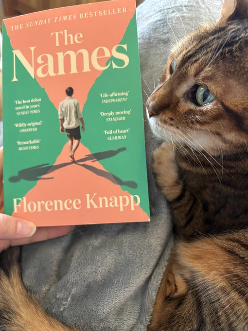 A photograph of a book, The Names by Florence Knapp, next to a cat curled up on a lap. The book cover is green and pink, with the image of a boy who has three shadows in the centre. The cat is a bronze-brown colour, with darker markings, a white chin, and striking green eyes.