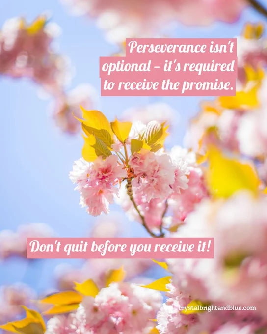 Pink cherry blossom quote art: “Perseverance isn’t optional – it’s required to receive the promise. Don’t quit before you receive it!” Inspired by Hebrews 10:35-36. 