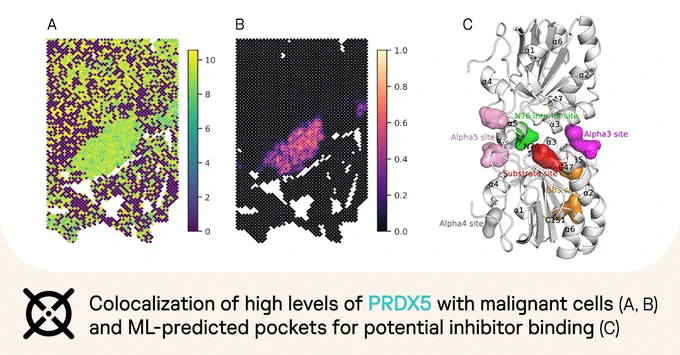PDRX paper