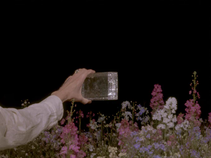 A hand holds a shiny rectangular object in front of vibrant flowers against a dark background, suggesting exploration or discovery.