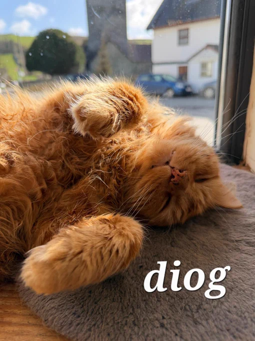 Fluffy ginger cat lazing on a window sill while the sun shines on a village scene outside.