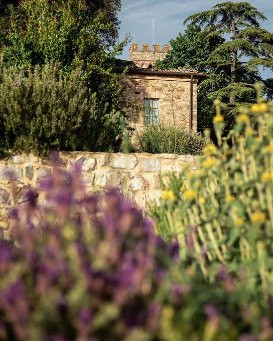 Stone farmhouse surrounded by greenery and flowering plants in a Tuscan vineyard landscape, historic Marchesi Frescobaldi estate Tenuta CastelGiocondo architecture immersed in nature.