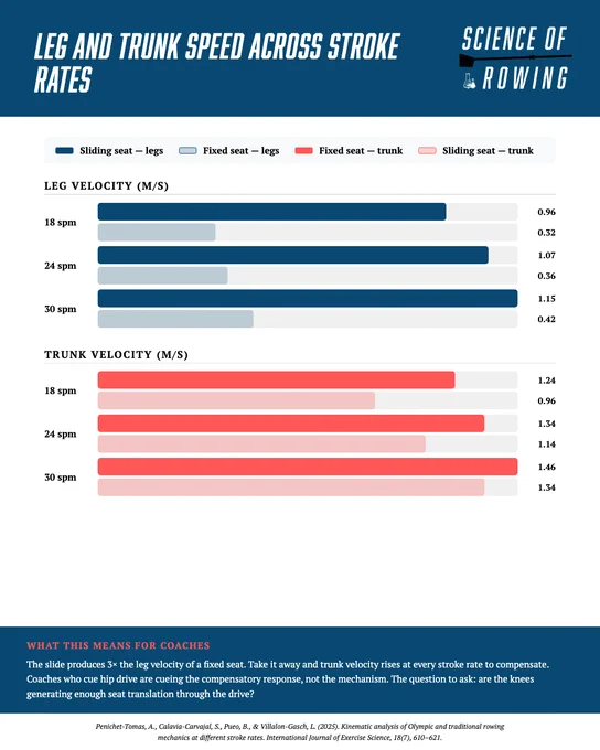Infographic comparing leg and trunk velocity at various stroke rates in rowing. Educational and informative tone.