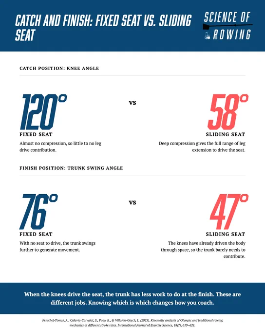 A detailed comparison of knee and trunk angles in fixed seat versus sliding seat positions in rowing, emphasizing different physical dynamics.