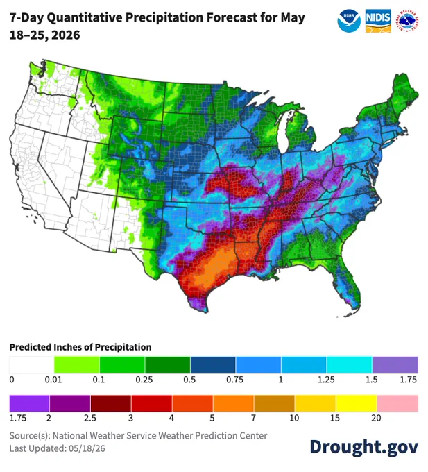 A National Weather Service map of the contiguous United States shows the 7-day quantitative precipitation forecast for May 18–25, 2026, with a color-coded legend indicating predicted inches of precipitation ranging from 0 to over 20 inches. The heaviest rainfall is forecast across Texas, Louisiana, Arkansas, and parts of the Midwest and Southeast, with significant accumulations reaching between 5 and 7 inches in eastern Texas and Louisiana, while the West Coast remains largely dry.