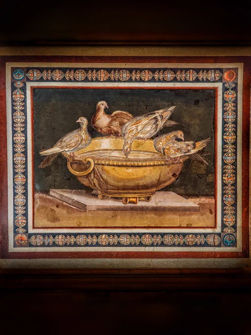 COPY OF THE MOSAIC OF THE DOVES BY SOSUS, C. 125 CE. CAPITOLINE MUSEUMS

The wealthy churchman Giuseppe Furietti bought excavation rights to the ruins of the so-called Accademia of Hadrian's Villa in 1736. His dig immediately produced the thrilling discovery of the two "Furietti Centaurs", now also in the same museum, and on Good Friday 1737 this emblema was found, at the centre of a large rectangular room. It is a copy of a mosaic mentioned by Pliny the Elder in Book 36 of his Natural History from 77 CE: "At Pergamum there is a remarkable dove done in mosaic, drinking, and darkening the water with the shadow of its head; other doves are preening themselves on the rim of the bowl." This copy matches Pliny's description, and was often known as "Pliny's Doves". Acquired from Furietti's heirs, it entered the Capitoline collections in 1765. It became the most celebrated mosaic of the C18, reproduced in many different forms, and had a colossal impact on art from neoclassicism onward. 