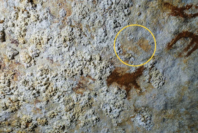 Sulawesi cave and rock art (📸 Courtesy Ratno Sardi; courtesy Maxime Aubert)