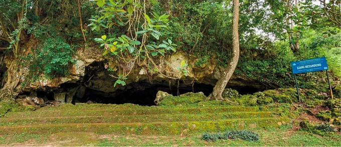 Sulawesi cave and rock art (📸 Courtesy Ratno Sardi; courtesy Maxime Aubert)