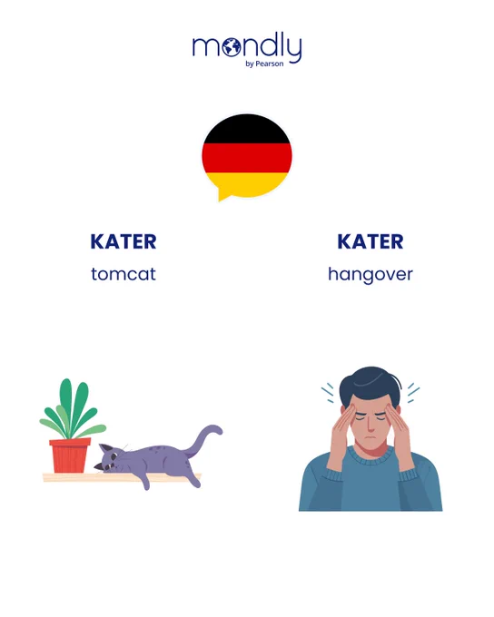 German word 'KATER' showing two meanings: 'tomcat' (sleeping cat) and 'hangover' (man holding his head).
