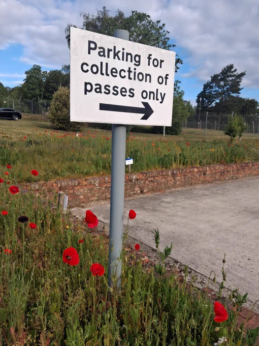 poppies growing at Aldershot Barracks.
