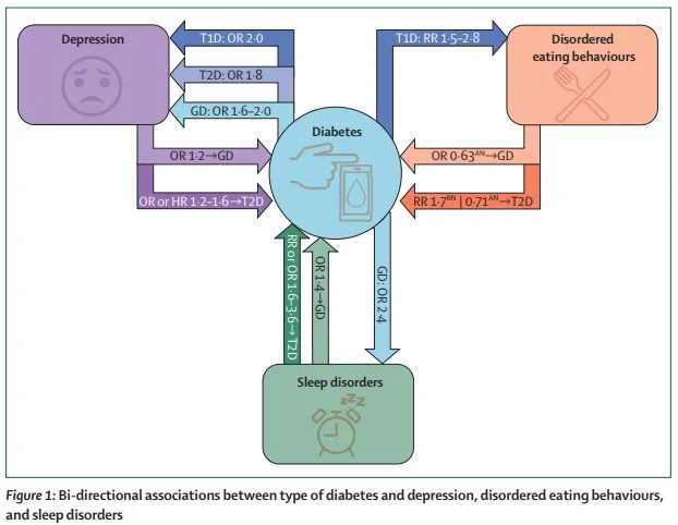 AN=anorexia nervosa. BN=bulimia nervosa. GD=gestational diabetes. RR=relative risk.T1D=type 1 diabetes. T2D=type 2 diabetes. OR=odds ratio.