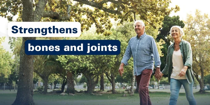 Elderly couple holding hands and walking through a sunlit park with large trees in the background.