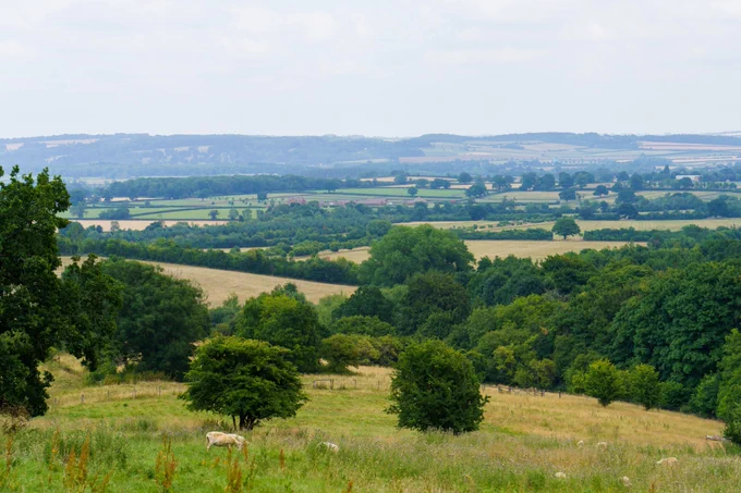 A scenic view of green fields and trees