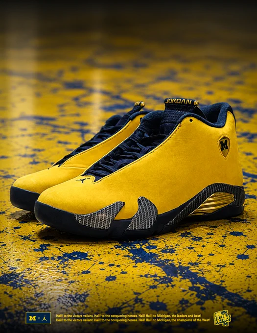 Pair of Jordan 14 Michigan PE shoes