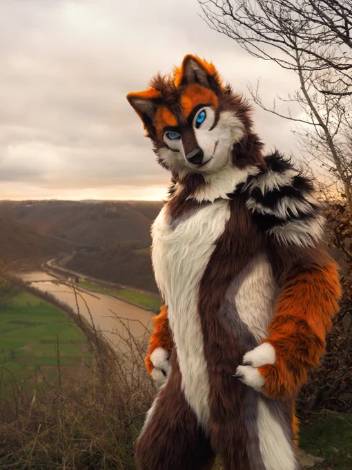 Coyote fursuit photo in a hillside landscape with a river flowing through the middle.