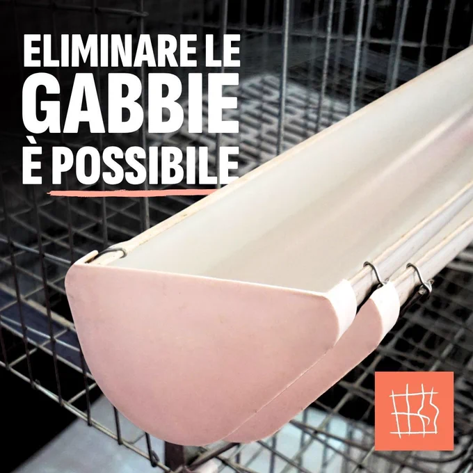 si vede una gabbia vuota. Si legge: eliminare le gabbie è possibile.