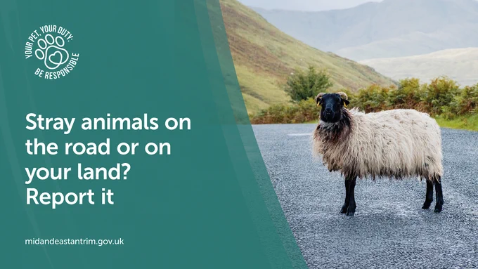 An image of a sheep standing in the middle of a road with the text "Stray animals on the road or on your land? Report it" and the "Your pet, your duty: Be responsible" pawprint and heart logo