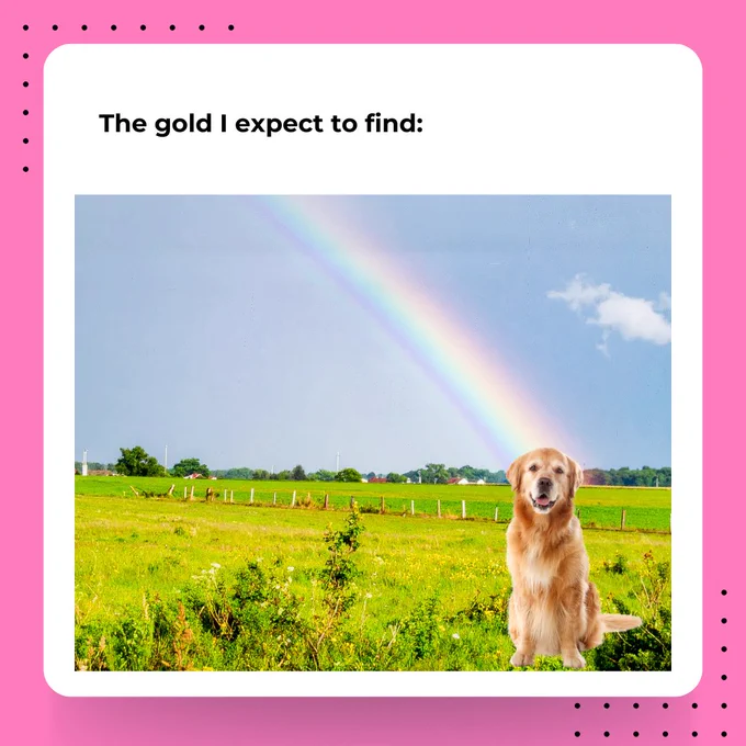 Meme: The gold I expect to find. Image of a Golden Retriever at the end of a rainbow.
