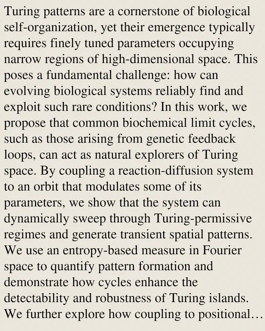 Turing patterns are a cornerstone of biological self-organization, yet their emergence typically requires finely tuned parameters occupying narrow regions of high-dimensional space. This poses a fundamental challenge: how can evolving biological systems reliably find and exploit such rare conditions? In this work, we propose that common biochemical limit cycles, such as those arising from genetic feedback loops, can act as natural explorers of Turing space. By coupling a reaction-diffusion system to an orbit that modulates some of its parameters, we show that the system can dynamically sweep through Turing-permissive regimes and generate transient spatial patterns. We use an entropy-based measure in Fourier space to quantify pattern formation and demonstrate how cycles enhance the detectability and robustness of Turing islands. We further explore how coupling to positional gradients increases reproducibility, suggesting a route from oscillatory dynamics to stable developmental programs