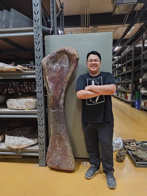 Sethapanichsakul and the front leg bone (humerus). Credit: Thitiwoot (Perth) Sethapanichsakul.