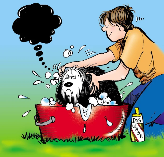 Michael gives Farley a bath in a tub in the backyard. Farley is not happy about it and has a huge black cloud over his head. 
