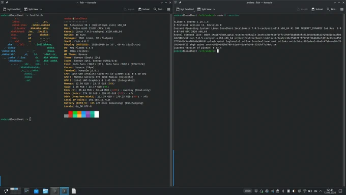 A screenshot showing XLibre running on Alma Linux 10.