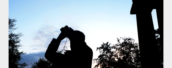 Birder looking for birds against a dawn skyline at Sheffield General Cemetery