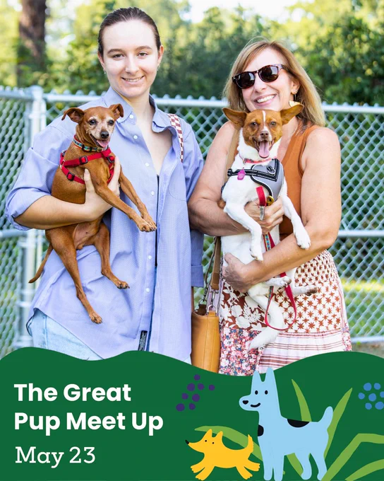 Two women holding small dogs at an outdoor dog meetup event by a chain-link fence on a sunny day. Graphic overlay reads The Great Pup Meet Up, May 23