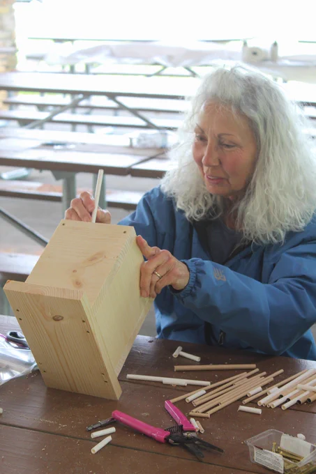 A woman inserts wood straws into her bee hotel.