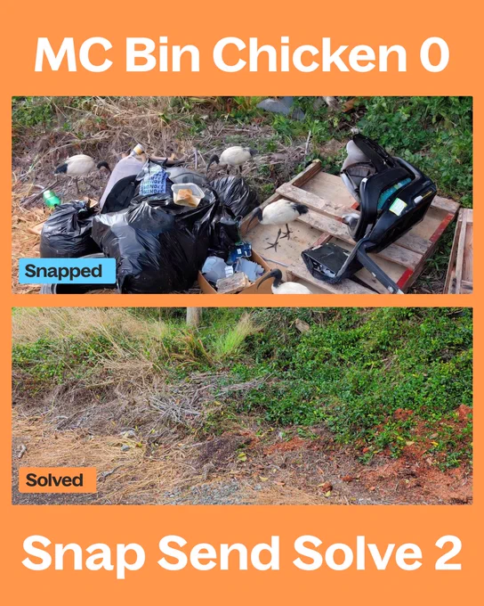 A photo comparison showing an area with litter and debris, followed by the same area cleaned and cleared. The tone is positive, emphasizing effective cleanup.