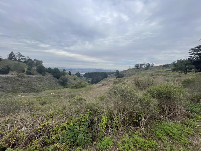 CA Highway (