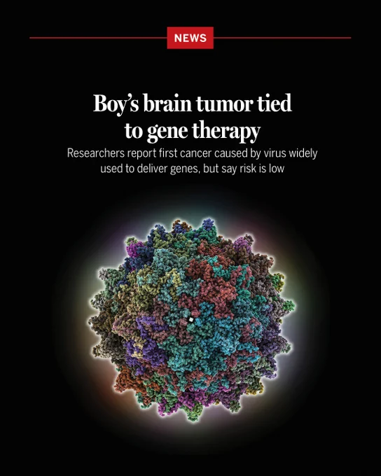 Boy’s brain tumor tied to gene therapy
Researchers report first cancer caused by virus widely used to deliver genes, but say risk is low