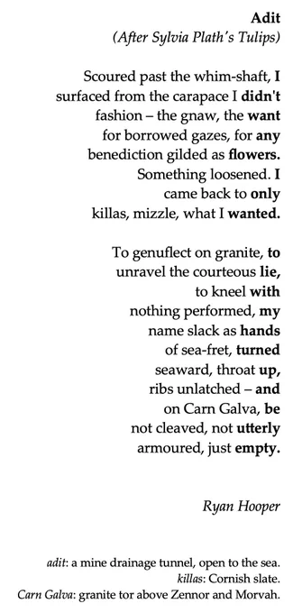 Adit
(After Sylvia Plath's Tulips)

Scoured past the whim-shaft, I
surfaced from the carapace I didn't
fashion – the gnaw, the want
for borrowed gazes, for any
benediction gilded as flowers.
Something loosened. I
came back to only
killas, mizzle, what I wanted.
 
To genuflect on granite, to
unravel the courteous lie,
to kneel with
nothing performed, my
name slack as hands
of sea-fret, turned
seaward, throat up,
ribs unlatched – and
on Carn Galva, be
not cleaved, not utterly
armoured, just empty.

 
adit: a mine drainage tunnel, open to the sea.
killas: Cornish slate. 
Carn Galva: granite tor above Zennor and Morvah.