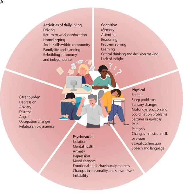 Patient outcomes after encephalitis. Multiple functional domains are affected by infectious and autoimmune encephalitis. Copyright: 2026 Elsevier Ltd. All rights are reserved.