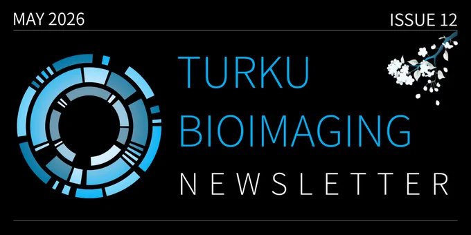 TBI_Newsletter_Issue12_logo