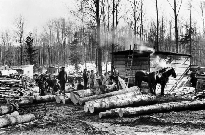 Picton portable sawmill, Porcupine Forest Reserve, Saskatchewan, ca. 1930
