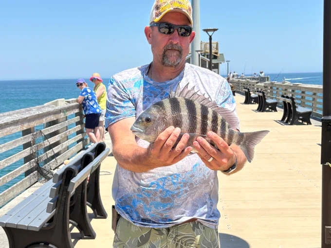 A person holds a striped sheephead fish on a pier with an ocean backdrop. Other individuals stand by the railing, and benches line the pier. The sky is clear and sunny.