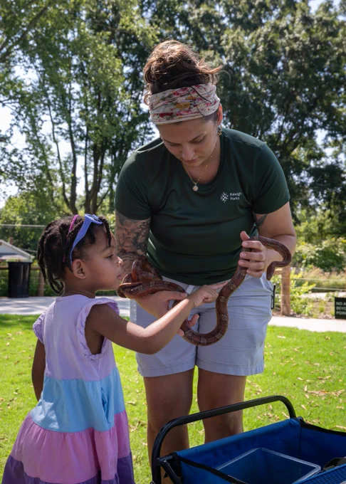 Child gently touching a large brown snake held by a woman outdoors in a sunny park setting.